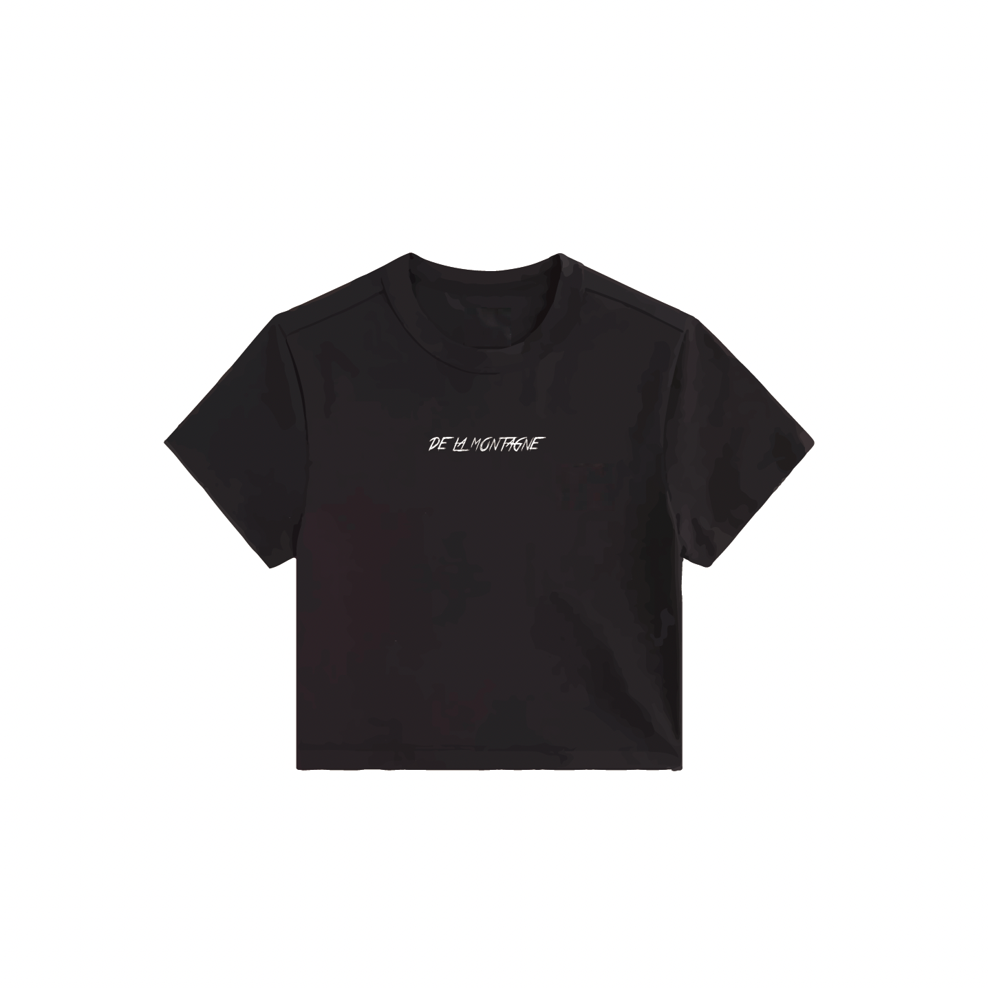 Taylor Crop Logo T-Shirt - Black